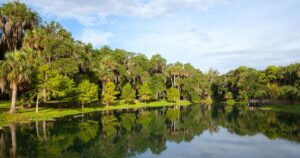 18 Spectacular Springs in Northwest Florida