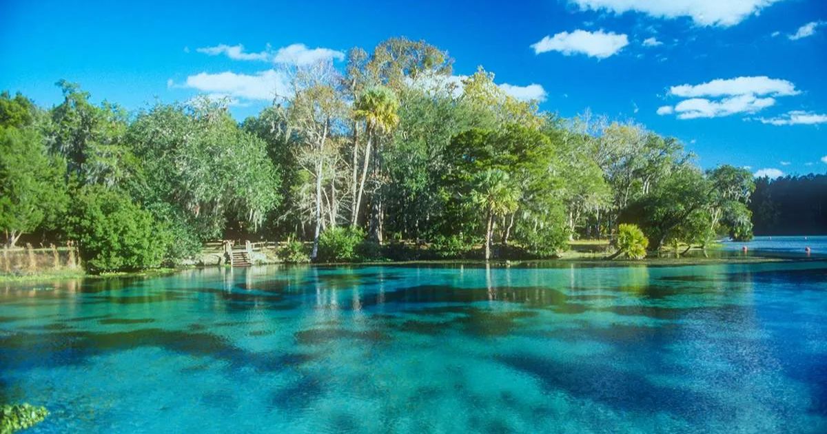 Many Springs in Northwest Florida